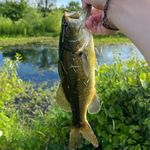 Noah Riggs - @noah_riggs_3275 - Instagram