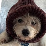 Noah Roman - @noahroman - Instagram