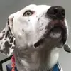 noahrowland69 - @noahrowland69 - TikTok