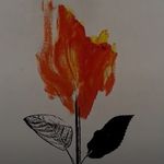 Noah_Sage - @noahs_age - Instagram