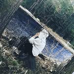 Noah Samuelsson - @noah_samuelsson_ - Instagram