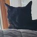 Noah Saunders - Facebook