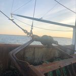 Noah Saunders - @noah.saunders17 - Instagram