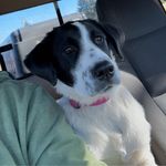 Noah Schroeder - @noah_9969 - Instagram