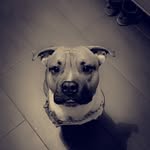 Noah - @noah.schulte.902 - Instagram