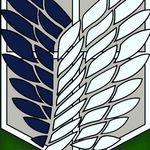 noah.schwabe - @noah.schwabe - Instagram