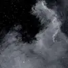 noah_scheeringa - @noah_scheeringa - TikTok