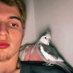 @_noahseidel - Instagram