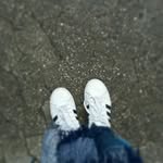 NOAHSEIDEL 111 - @noah.5951 - Instagram