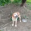 Noah Sellers - @noah.sellers4 - TikTok
