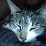 Noah_singleton - @_noah_singleton_ - Instagram