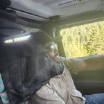 Noah Singleton - @n.s_ark - Instagram