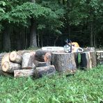 Noah Sipe - Facebook
