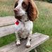 Noah Slade - Facebook