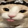 Noah - @noahsoto04 - TikTok