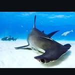 Noah steele - @noah_steele_7 - Instagram