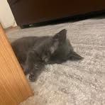 Noah Steinke - Facebook