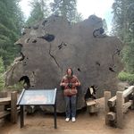 Noah Stillman - @noahsnowman01 - Instagram