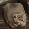 Noah_Stillman - @noah_stillman0 - TikTok