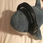 @noah__strawberry - Instagram