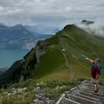Noah Strong - @noah__strong - Instagram