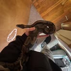 Noah Strong - Facebook