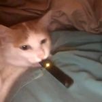 Noah Swanson - @noah_swanson - Instagram