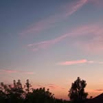 Noah Swanson - @noahswanson50 - Instagram