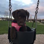 Noah Tanner - @noahtanner777 - Instagram