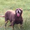 noahtate264 - @thewoooooofer - TikTok