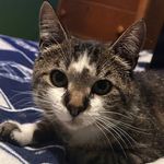 Noah Temple - @coffaros_pizza_uganda - Instagram