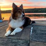 Noah Temple - @noah.temple - Instagram