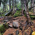 Noah Temple Psiharis - @photographybynoah97 - Instagram