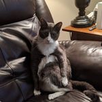 Noah Thayer - @nthayer97 - Instagram