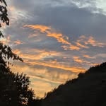 Noah Thelen - @noah_thelen2010 - Instagram