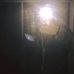 Noah Thornton - Facebook