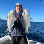 noah thornton 🌟 - @noaht.brus16 - Instagram