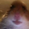 Noah Thornton - @eshay1240 - TikTok