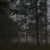 Tracy Noah - @tracy.noah387 - TikTok