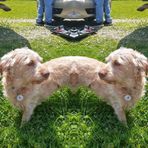 Noah Triplett - Facebook