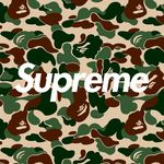 Noah Walters - @noah_walters15 - Instagram