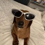 Noah Walton - Facebook