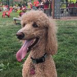 Noah Weinberger - @npw86 - Instagram