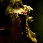 Noah Weinman - Facebook
