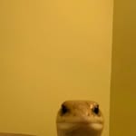 Noah Whittles - @noahwhittles - Instagram