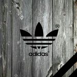 knoah wisner - @knoahwisner3 - Instagram