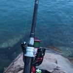 Noah Yang - @noah.yang.161446 - Instagram