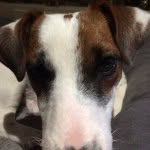 Noble Jones - @noble_jones - Instagram