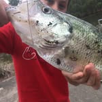 Noble Jones - @noble_fishing - Instagram
