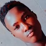 noble vincent official - @noble_vincent_official - Instagram